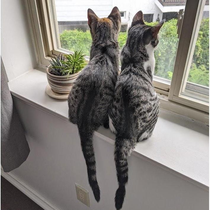 hazel + fritz, 2021