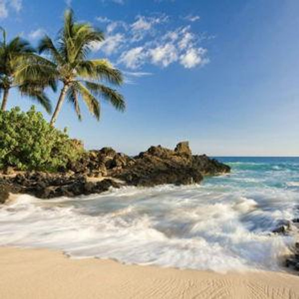 Our Honeymoon Fund to Hawaii