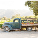Cowgirl Winery