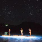 PaddleVision
