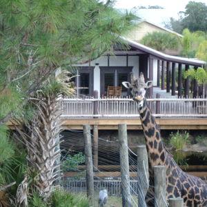 Brevard Zoo Annual Passes