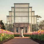 Jewel Box