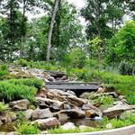 Atlanta Botanical Garden - Gainesville