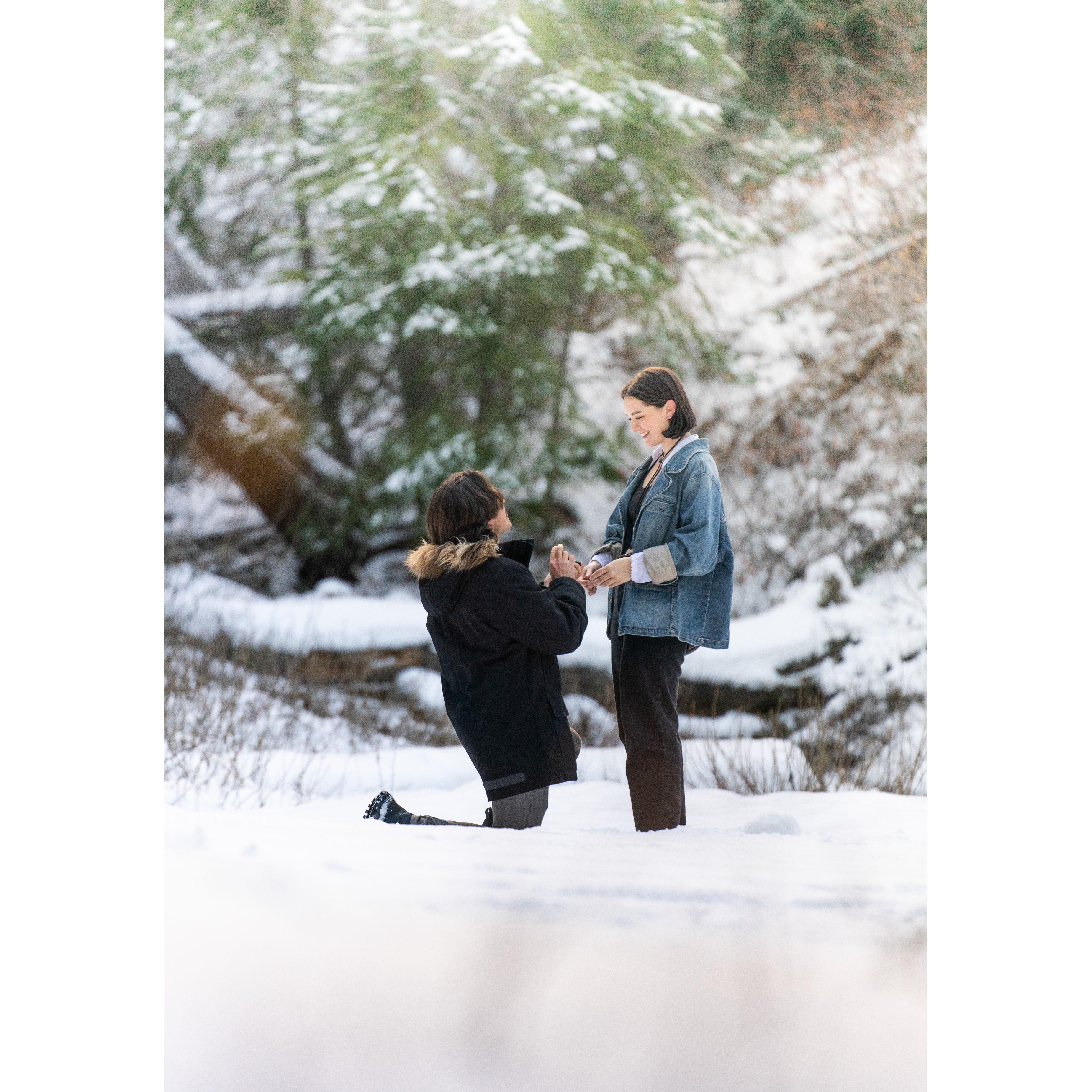 Proposing at Turnout No. 4, American Fork Canyon, Utah