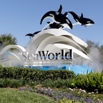 SeaWorld San Diego