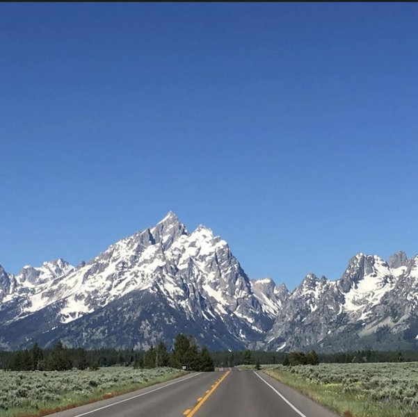 Honeymoon Roadtrip
