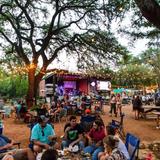 Armadillo Den (South Austin)