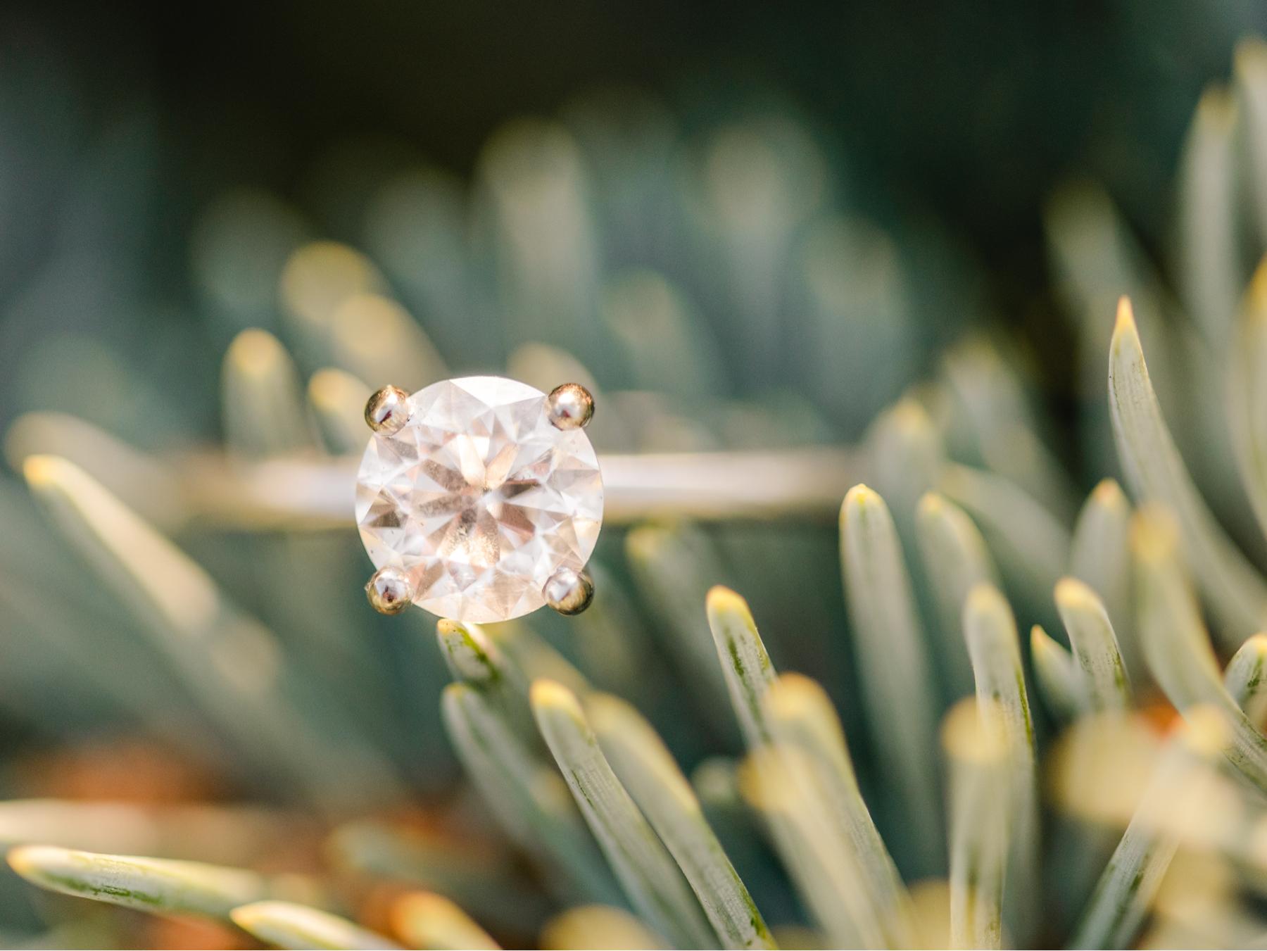 The Wedding Website of Angelina Graham and Eric Marcolini