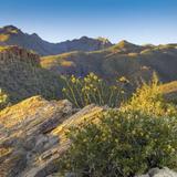 Sabino Canyon