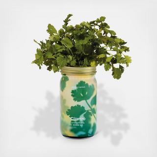 Herb Garden Jar Kit