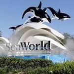 SeaWorld Orlando