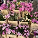 Aix-en-Provence Market - Cours Mirabeau