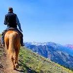 Telluride Horseback Adventures - Ride with Roudy