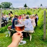 Breweries & Wineries