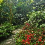 Bellevue Botanical Garden