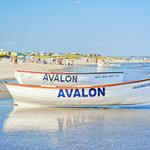 Beach at Avalon NJ