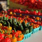 Chile Pepper Day at the Easton Farmers Market