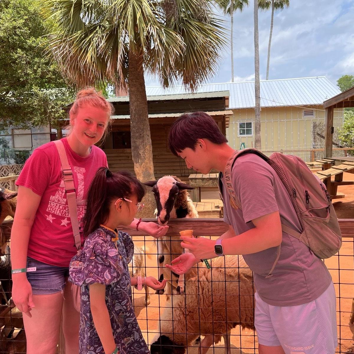 Gatorland