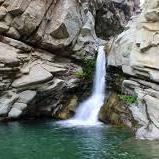 Santa Paula Punch Bowls