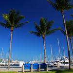 Dinner Key Marina