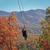 NOC Zip Line Adventure Park