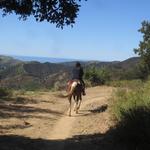 Circle Bar B Guest Ranch & Stables, Lodging and Events
