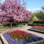 Orange County Arboretum