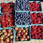 Lewin Farms