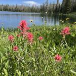 Teton Canyon