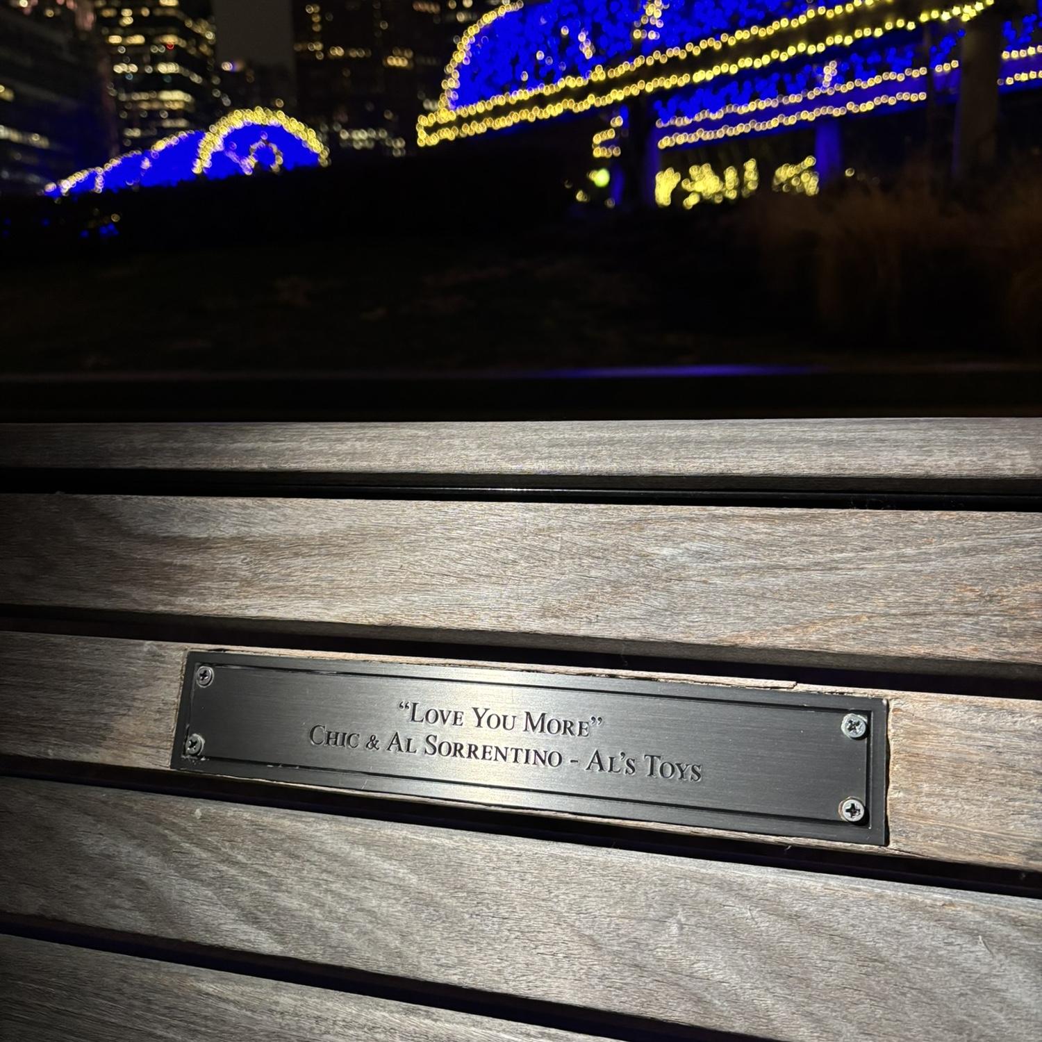 “Love you more”
The bench Brian proposed on