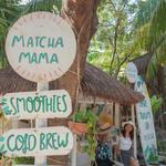 Matcha Mama