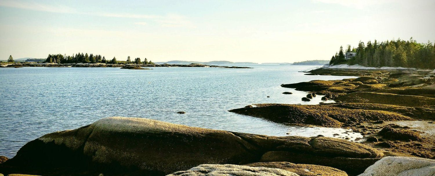 The Wedding Website of Hallie Ojala-Barrett and Dan Alderfer