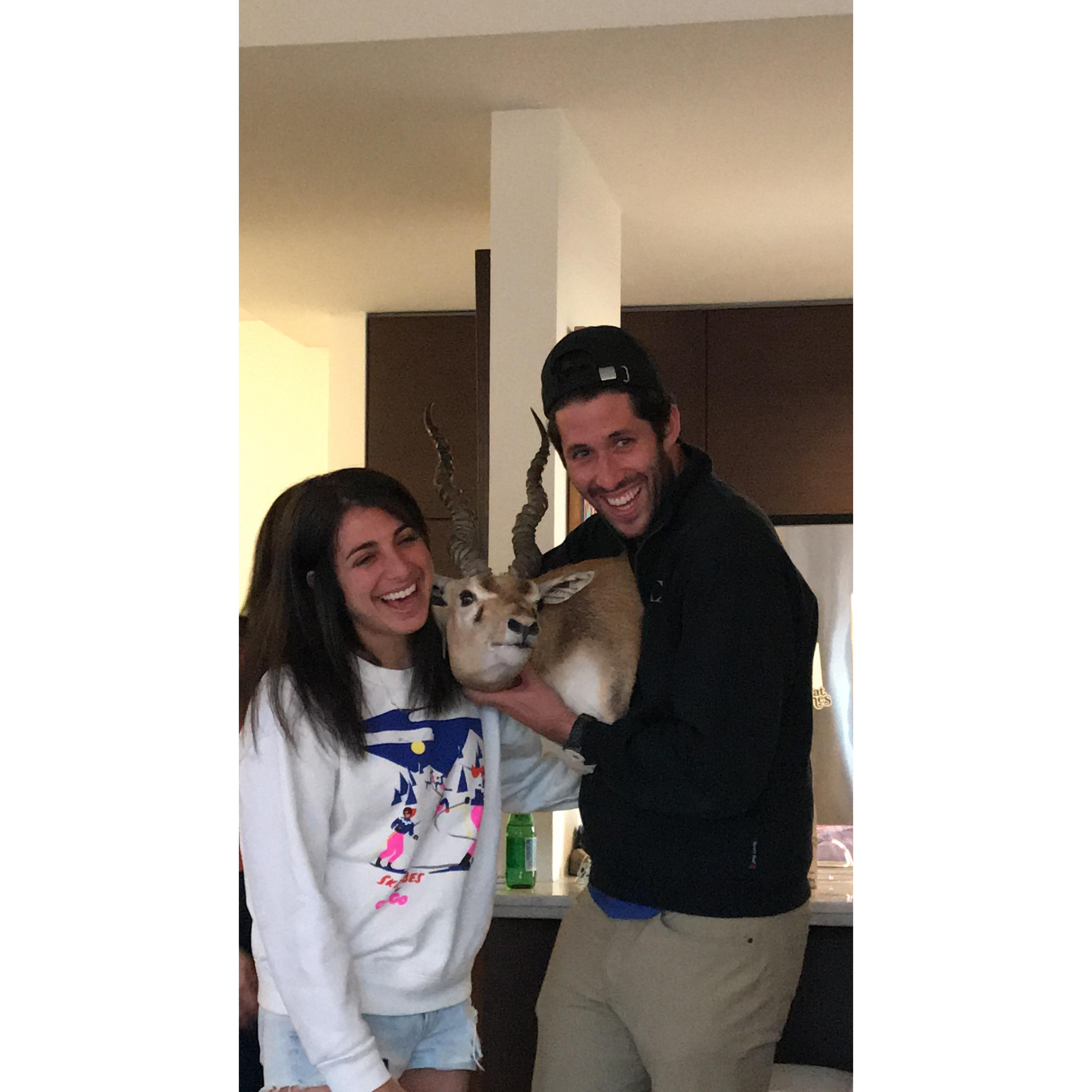 Bennett's business school graduation gift (Mookie) - thank you to those who convinced Julia to purchase this beautiful creature.