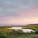 Sayle's Seafood