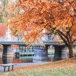 Boston Common