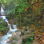 White Mountains General Info