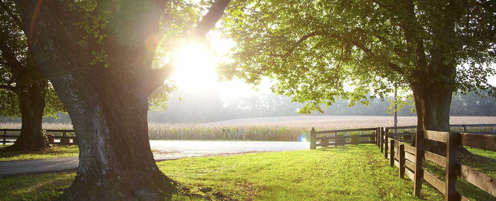 The Wedding Website of Lizzie Rosenberg and Jordan Goldberg