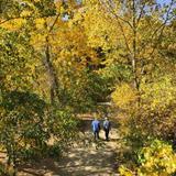 Clear Creek Trail - Hike