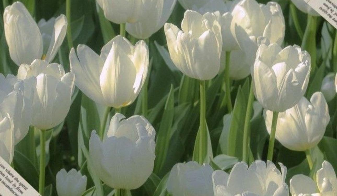 c7863712-877e-43ec-b128-666c342cef6a