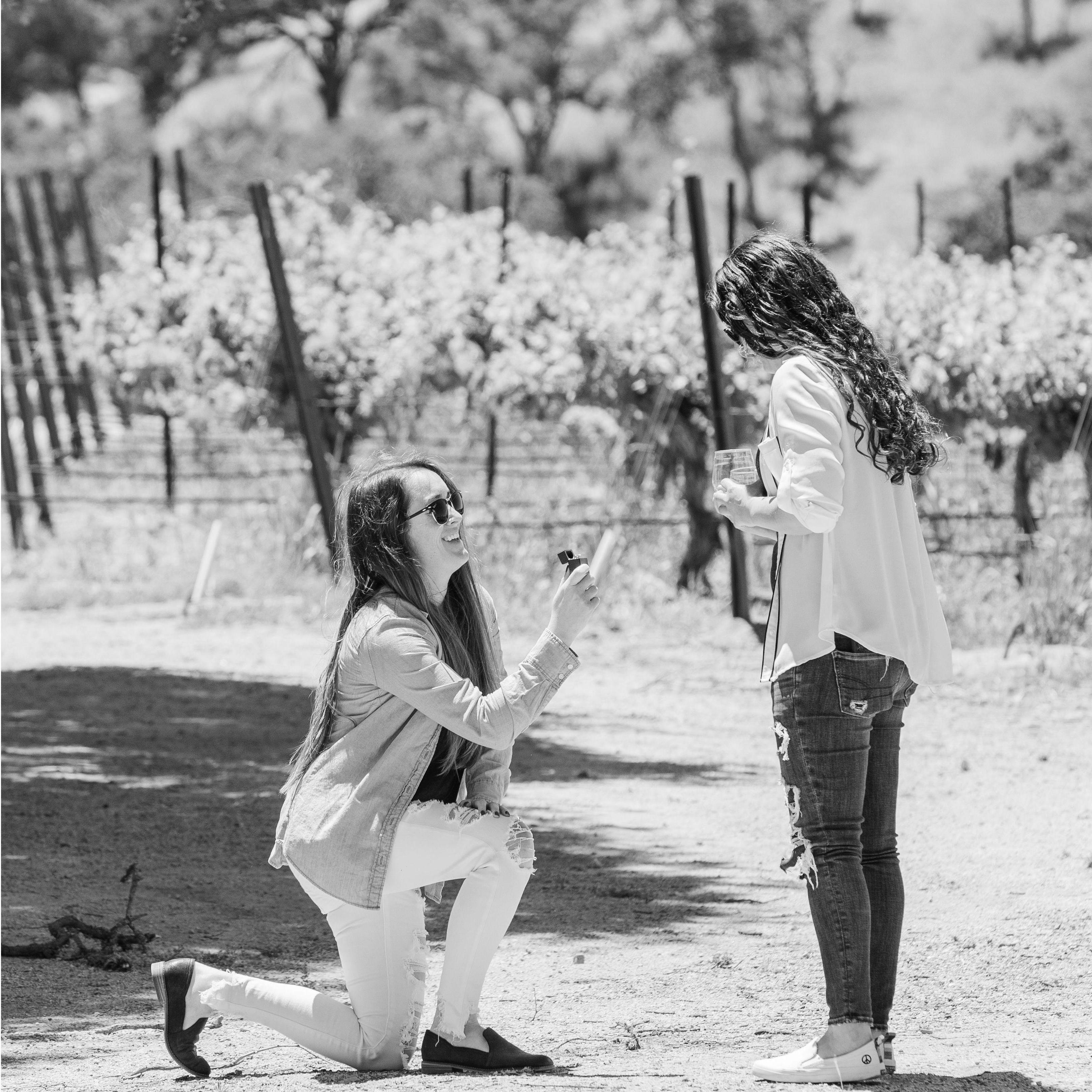 Paso me a glass of caber-gay sauvignon - she said yes!
Paso Robles, CA