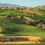Day Trip to Wine Country