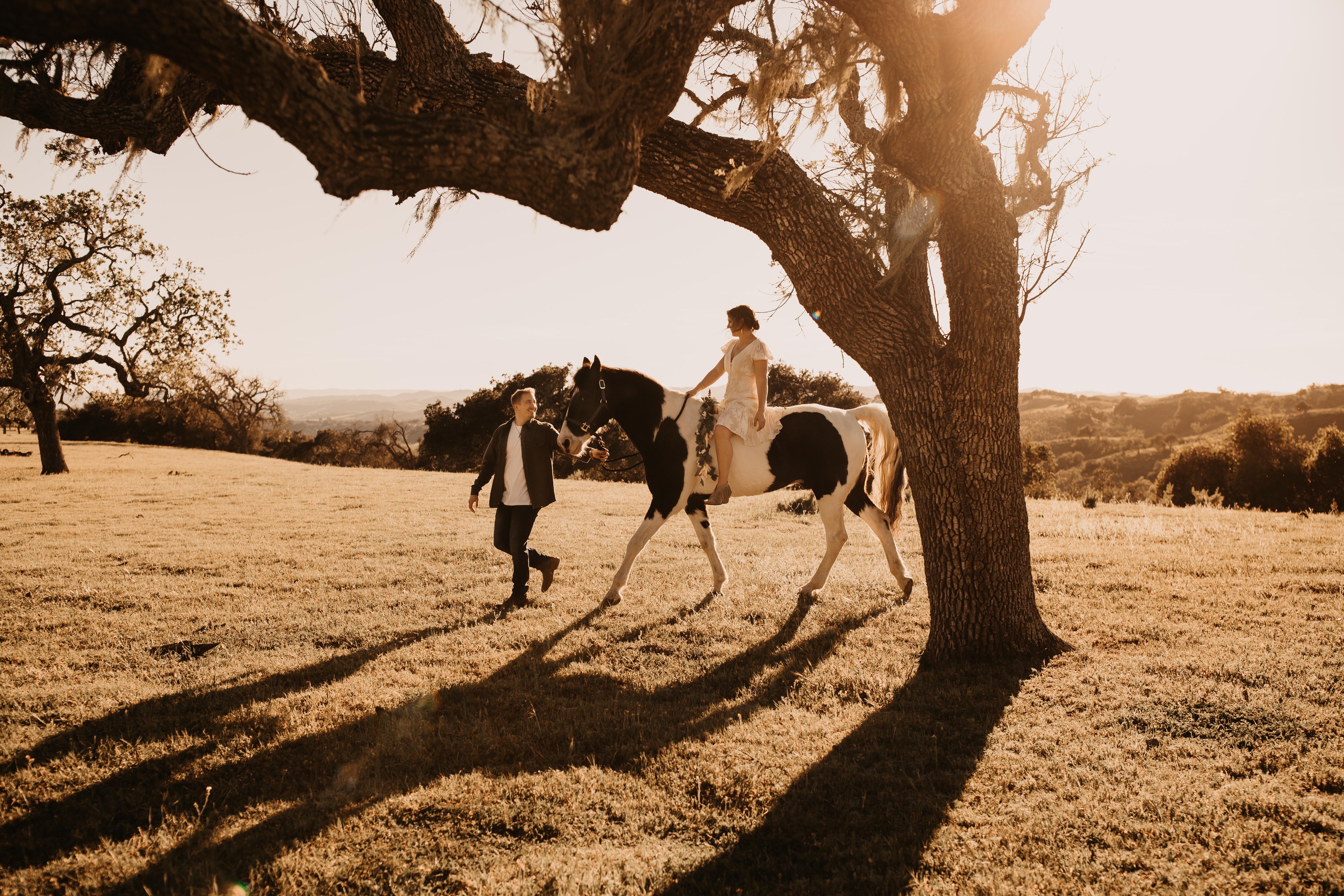 The Wedding Website of Andrew Groy and Bree London