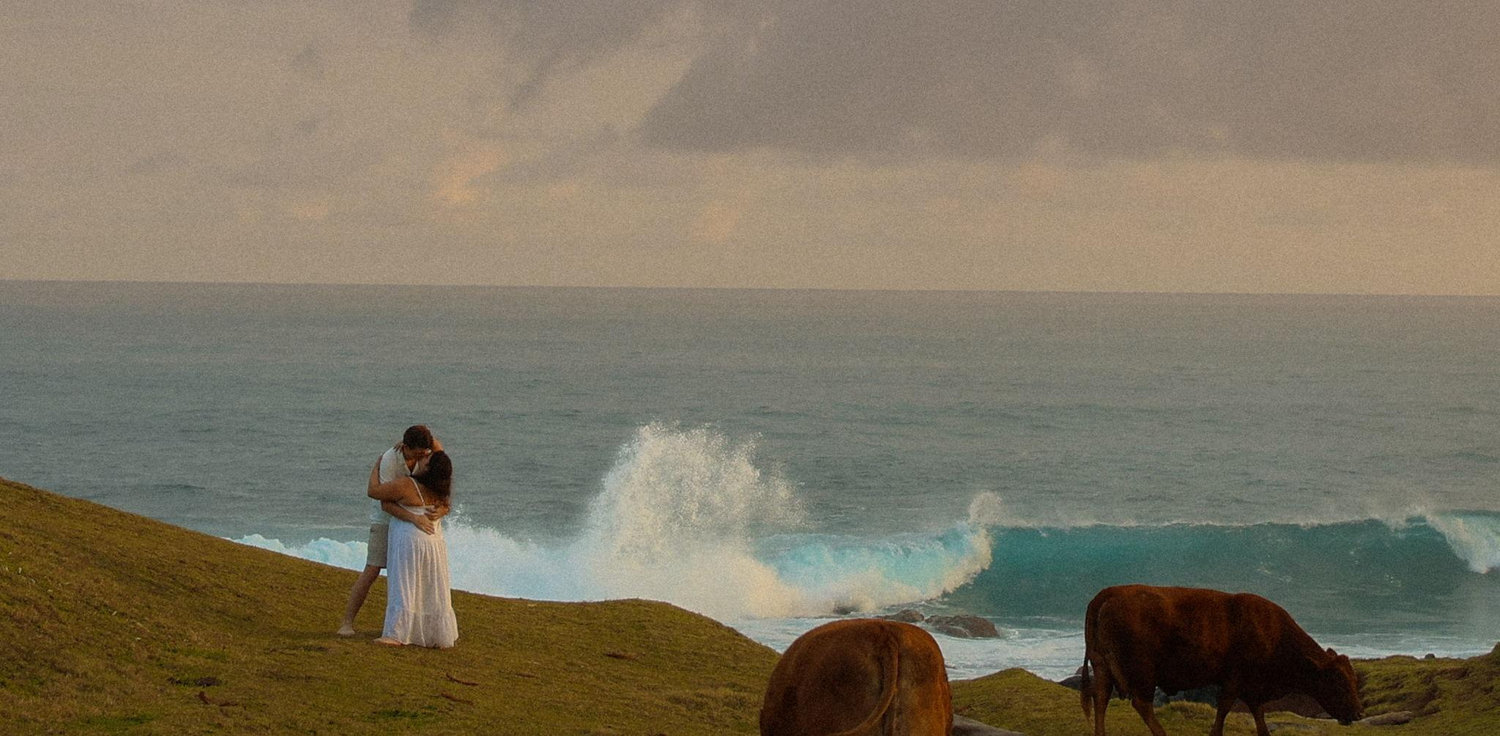 The Wedding Website of Ava Parker and Nick Neviaser