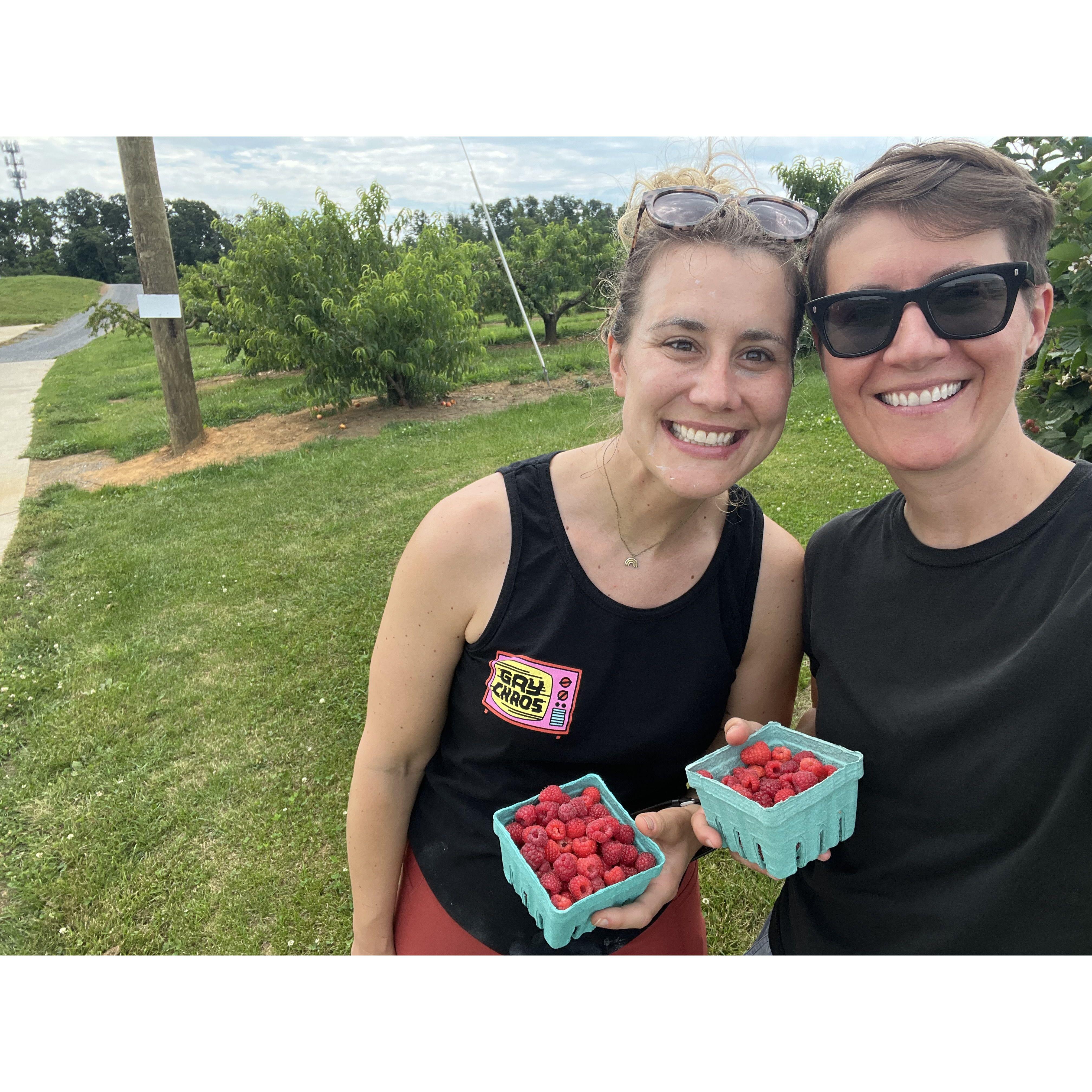 Picking raspberries near the Mallon cabin.