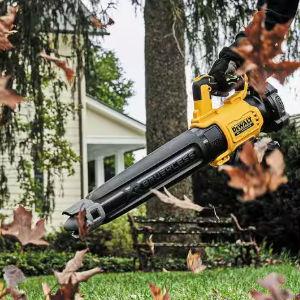 DeWalt Leaf Blower