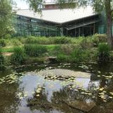 Edinburg Scenic Wetlands & World Birding Center