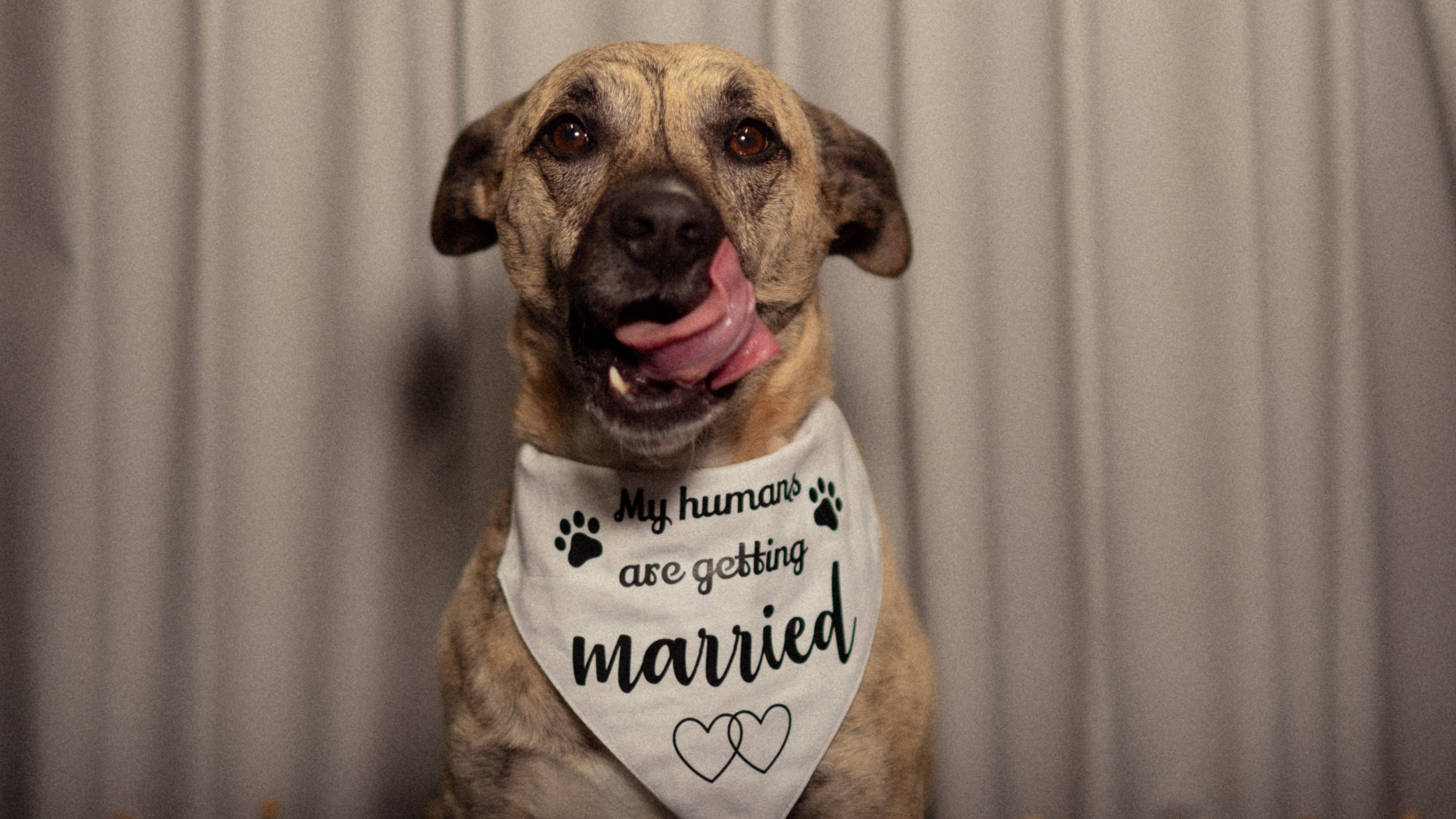 The Wedding Website of Cory Granner and Jamie Walters