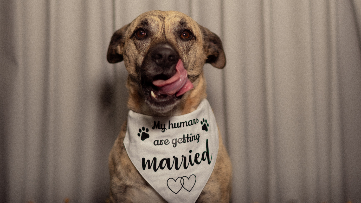 The Wedding Website of Cory Granner and Jamie Walters