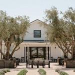 Biddle Ranch Vineyard