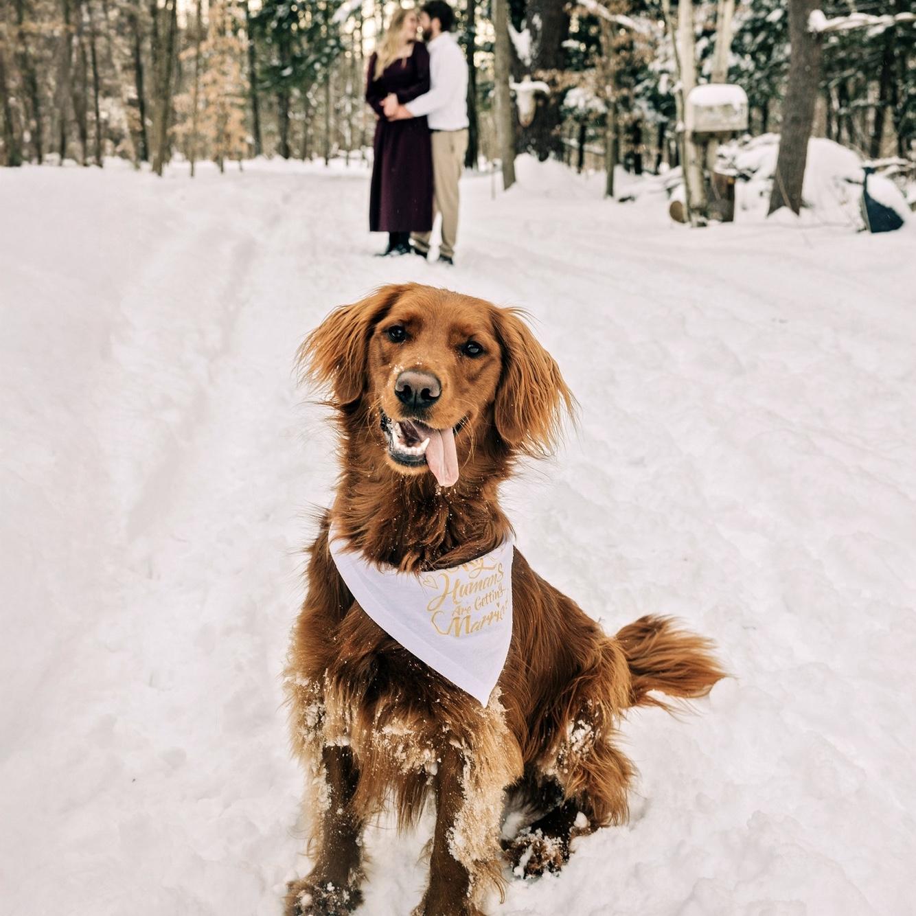 2025 Cooper girl can’t wait for her pawrents to get married!!